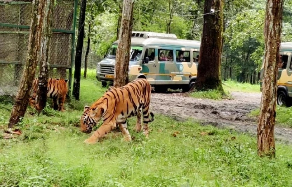 Hotel June’s Upcoming Artist in Residence