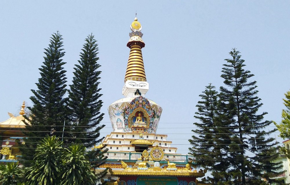 Hotel June’s Upcoming Artist in Residence