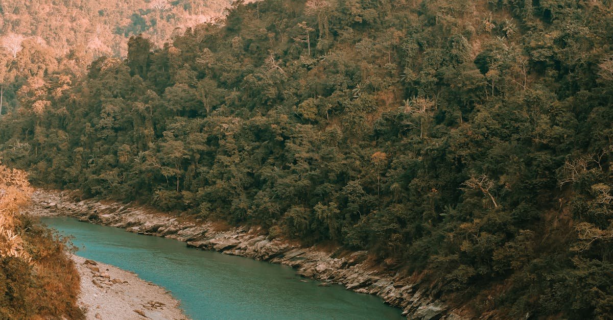 Scenic aerial view of Teesta River flowing through lush green hills in Siliguri, India.